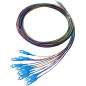 Pack 12 Pigtails couleurs monomode Easystrip SCPC 2M G652 9/125 900 µm