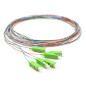 Pack 6 Pigtails couleurs monomode Easystrip SCAPC 2M G652 9/125 900 µm