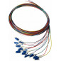 Pack 12 Pigtails couleurs monomode Easystrip LCPC 2M G652 9/125 900 µm