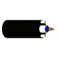Câble Microgaine int/ext 12FO SM  armé fibre de verre LSZH 2T6 SP1833