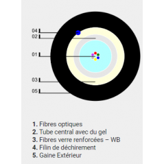 Câble unitube intérieur/extérieur 12 FO  OM1 armé fibre de verre LSOH