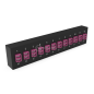 Plaquette d'adaptateurs MP2 12 LC DX Fuchsia (chargée) NEXCONEX