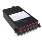 HD Cassette D'épissure SC 12 OM4 NEXCONEX