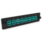 LGX Pass Thru Plaque d'adaptation LC 16FO MM Aqua NEXCONEC