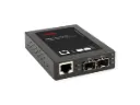 ROLINE Convertisseur Gigabit, RJ-45 - mini GBIC