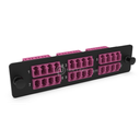 LGX Pass Thru Plaque d'adaptation LC 24FO MM Erika Violet NEXCONEX