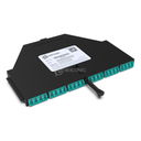 Module de transition NGX 24FO MM OM3/OM4 Premium LC/UPC - 1xMPO(M) Elite Base-24